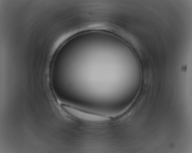 X0000093521328200710121537
