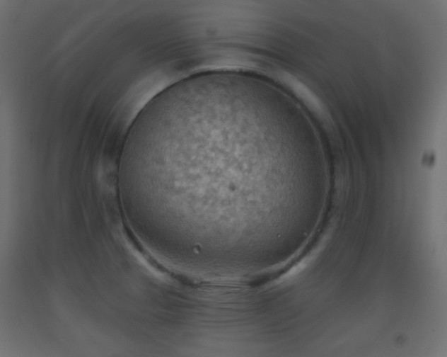 X0000093521329200710121537
