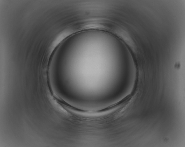 X0000093521330200710121537