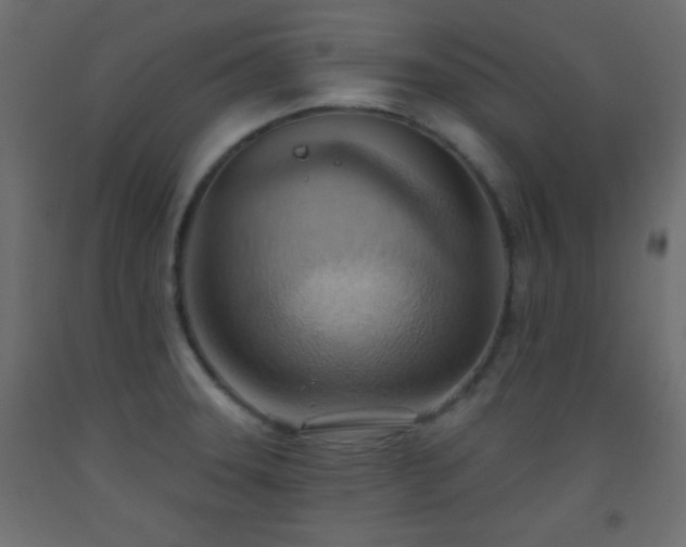 X0000093521331200710121537
