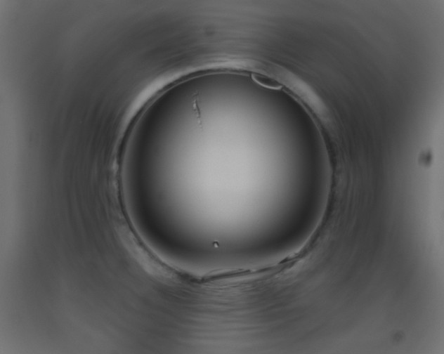 X0000093521332200710121537