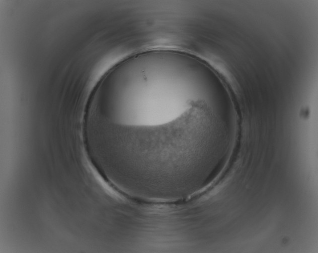 X0000093521333200710121537