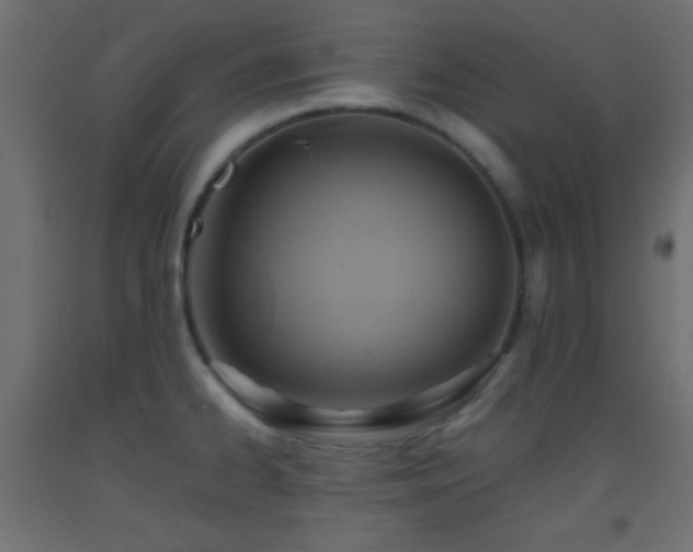 X0000093521334200710121537