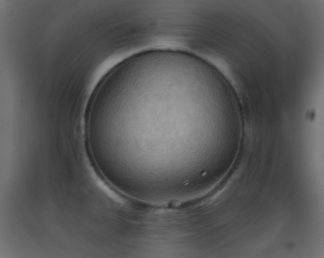 X0000093521335200710121537