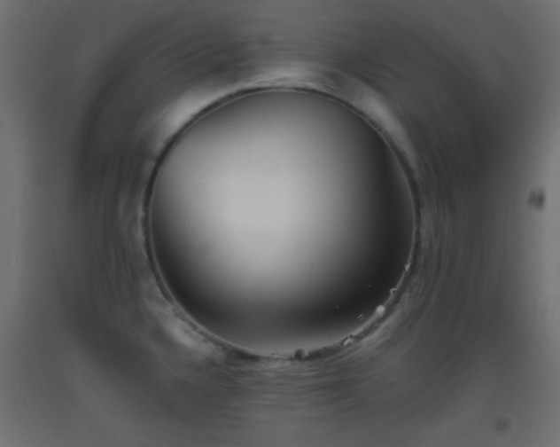 X0000093521336200710121537