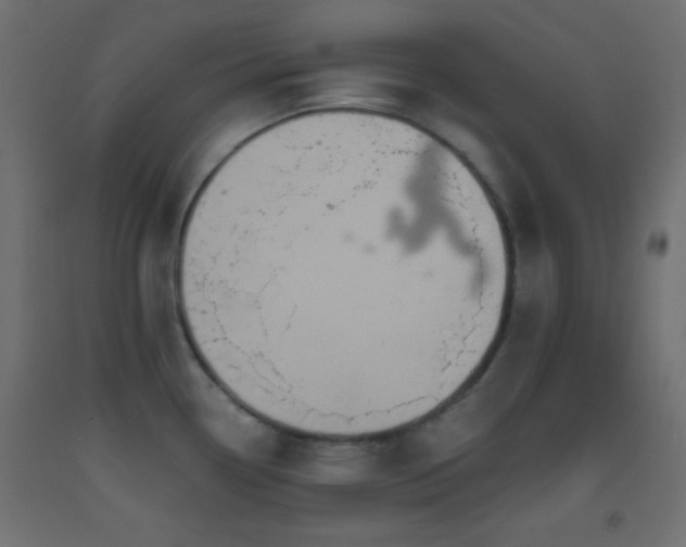 X0000093521338200710121537
