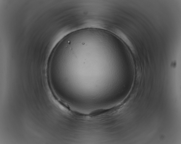 X0000093521339200710121537