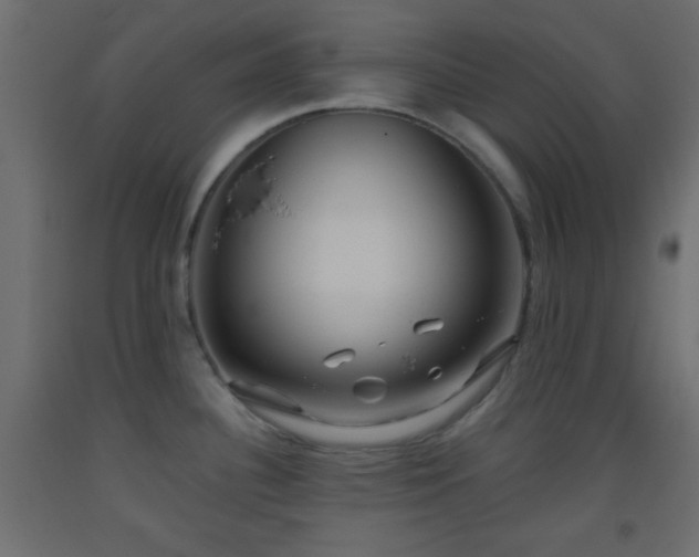 X0000093521340200710121537