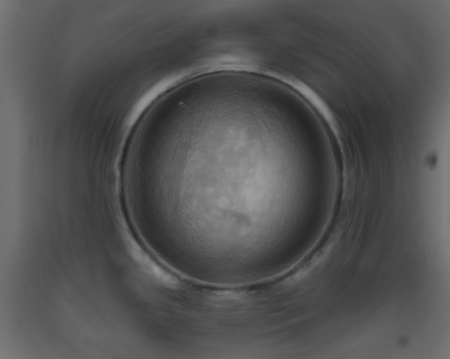 X0000093521341200710121537
