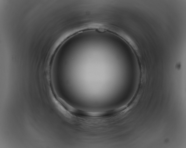 X0000093521342200710121537