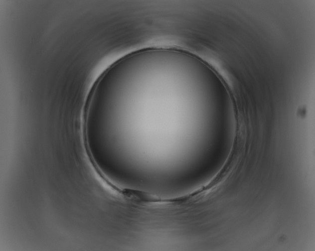 X0000093521343200710121537