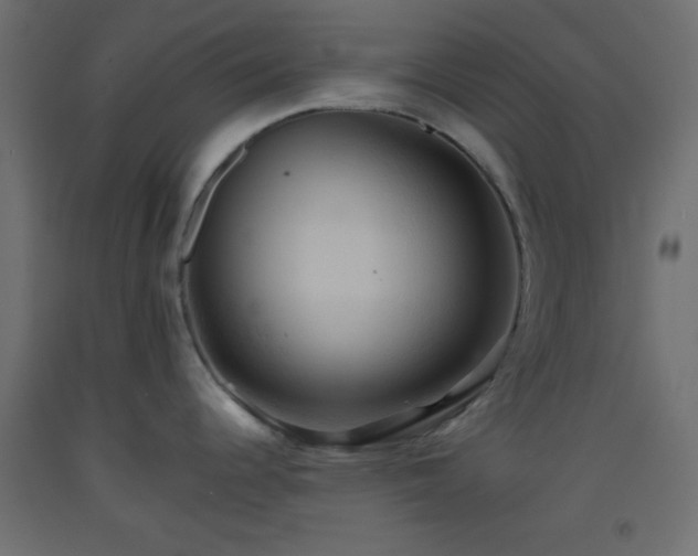 X0000093521344200710121537