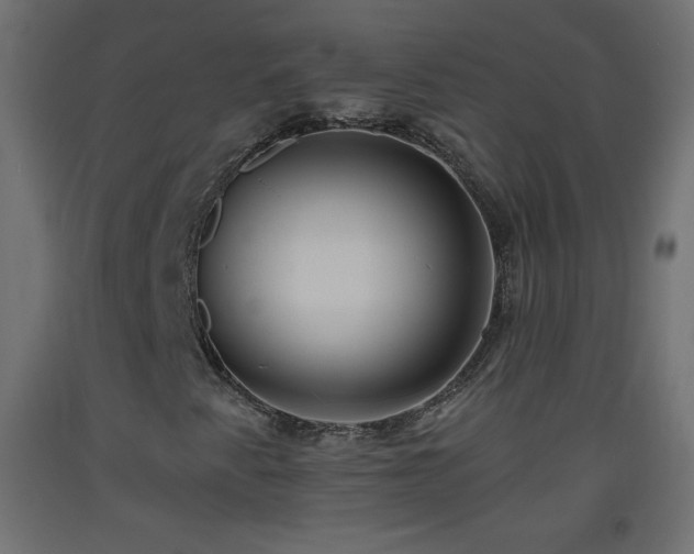 X0000093521345200710121536