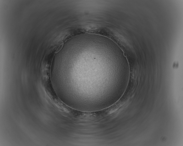 X0000093521346200710121536
