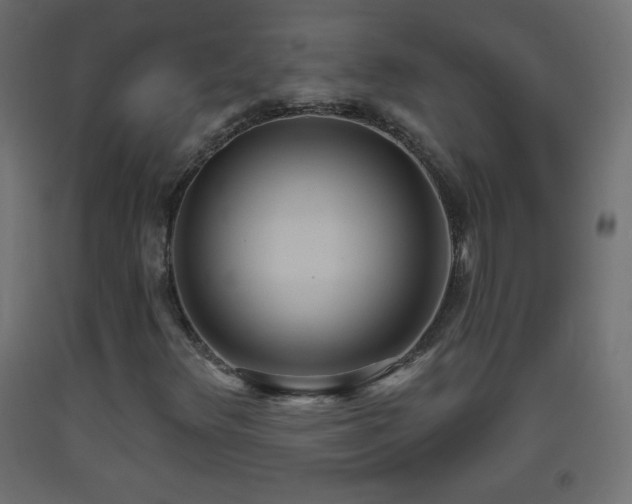 X0000093521348200710121536