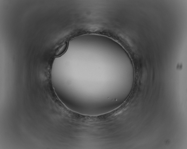 X0000093521349200710121536