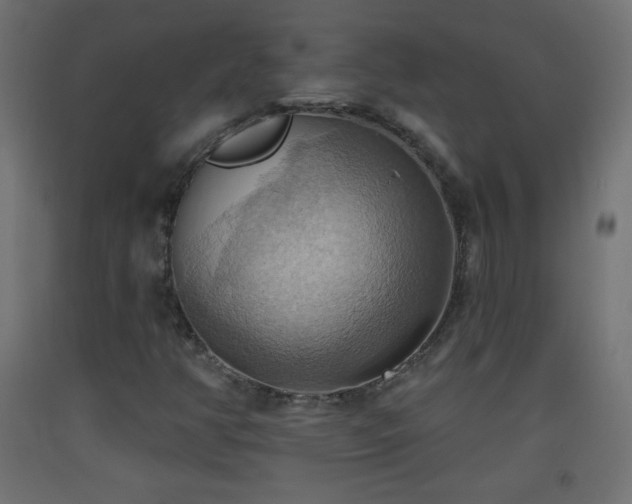 X0000093521350200710121536