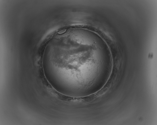X0000093521351200710121536