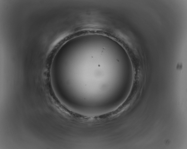 X0000093521352200710121536
