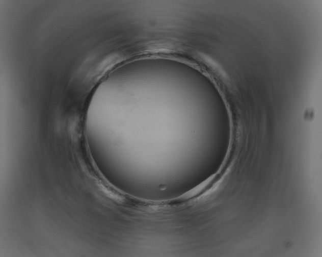 X0000093521353200710121536