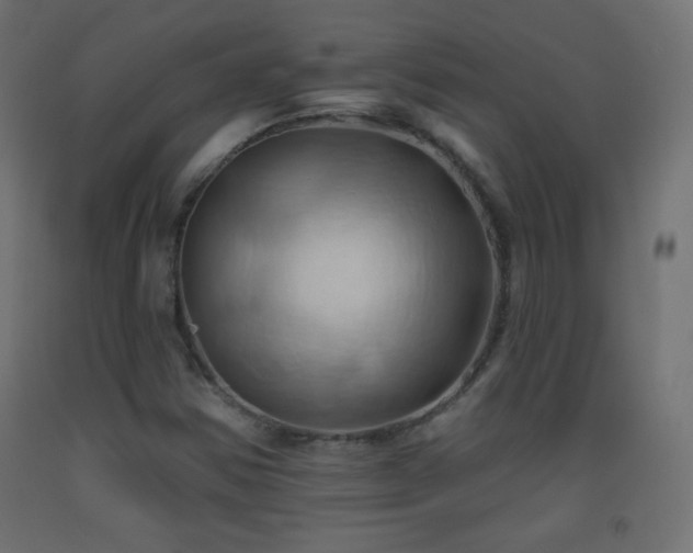 X0000093521354200710121536
