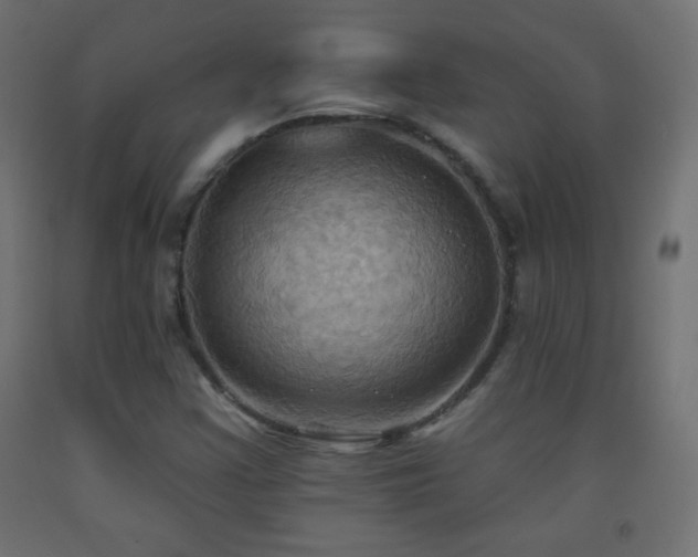 X0000093521355200710121536