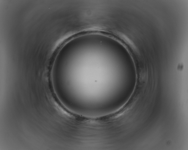 X0000093521356200710121536