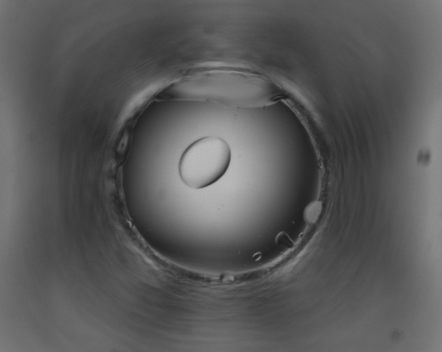 X0000093521357200710121536