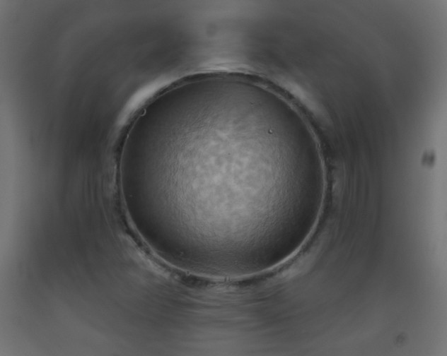 X0000093521358200710121536