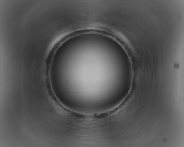 X0000093521360200710121536