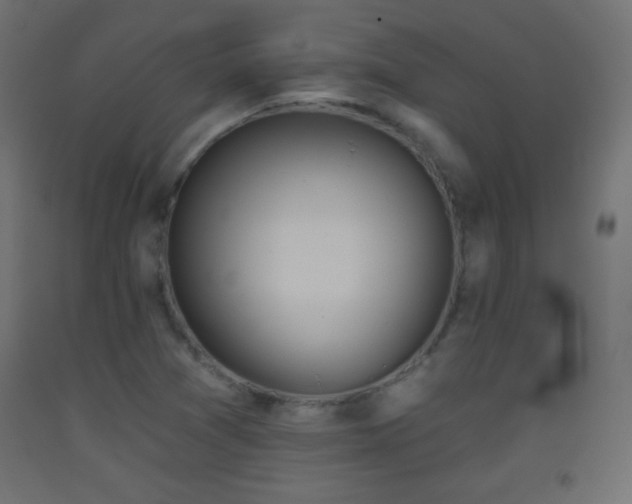 X0000093521361200710121536