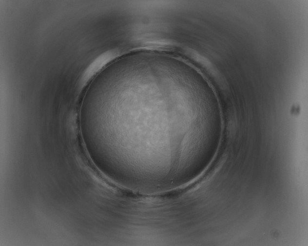 X0000093521362200710121536