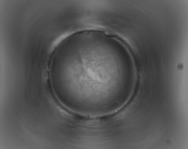 X0000093521363200710121536