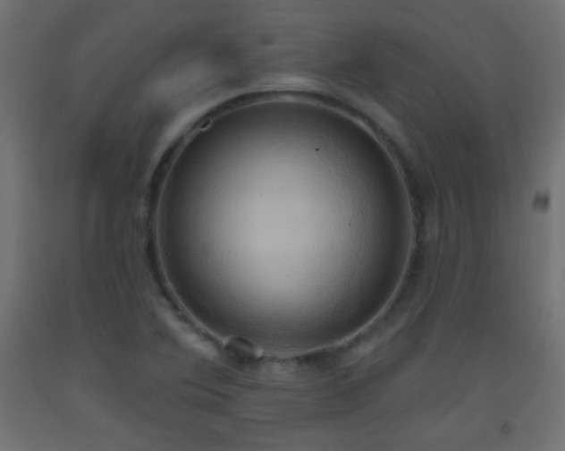 X0000093521364200710121536