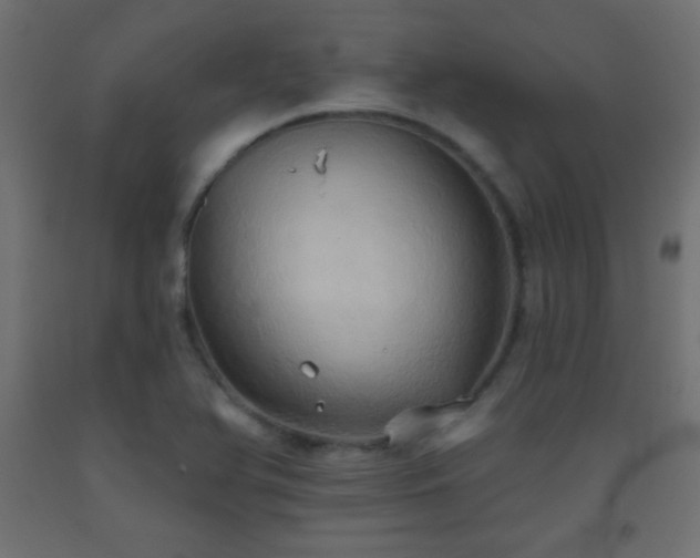 X0000093521366200710121536