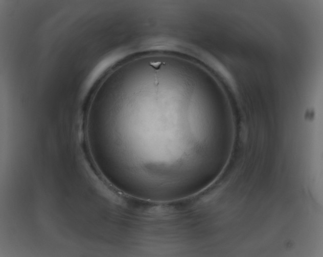 X0000093521368200710121536
