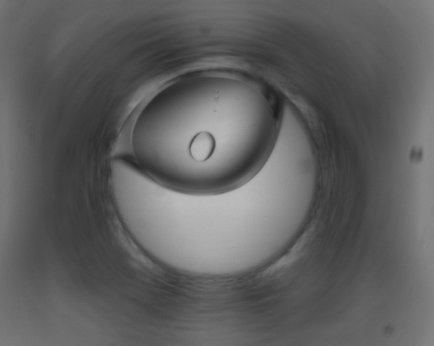 X0000093521369200710121536