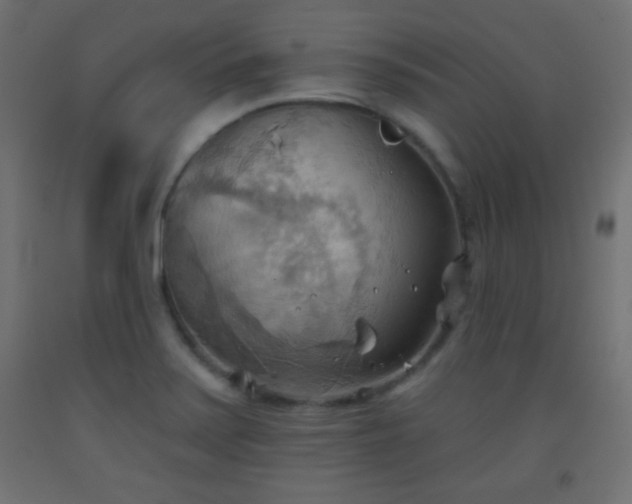 X0000093521371200710121536