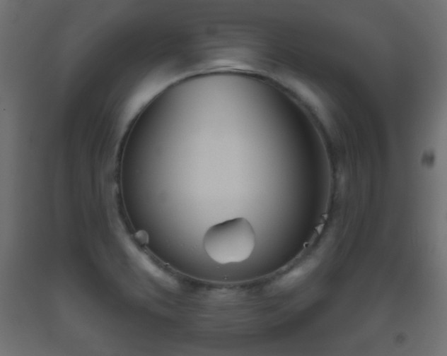 X0000093521373200710121536