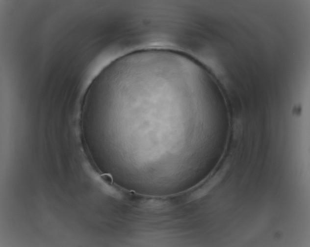 X0000093521374200710121536