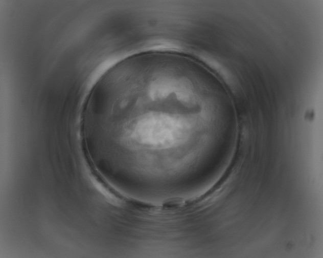 X0000093521375200710121536