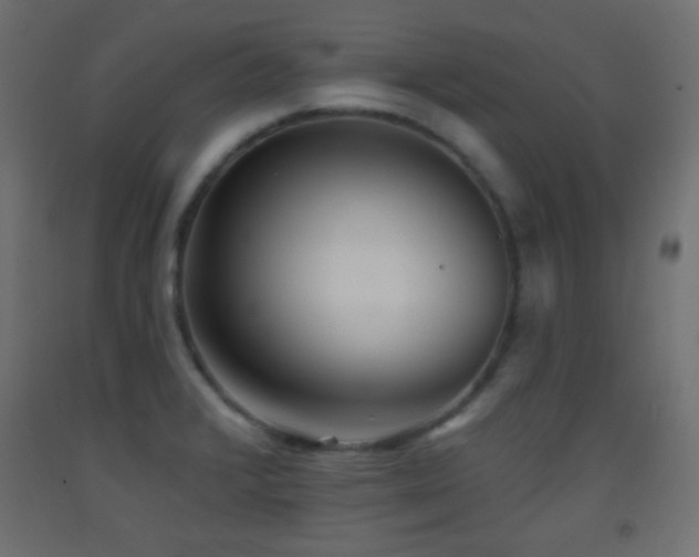 X0000093521376200710121536