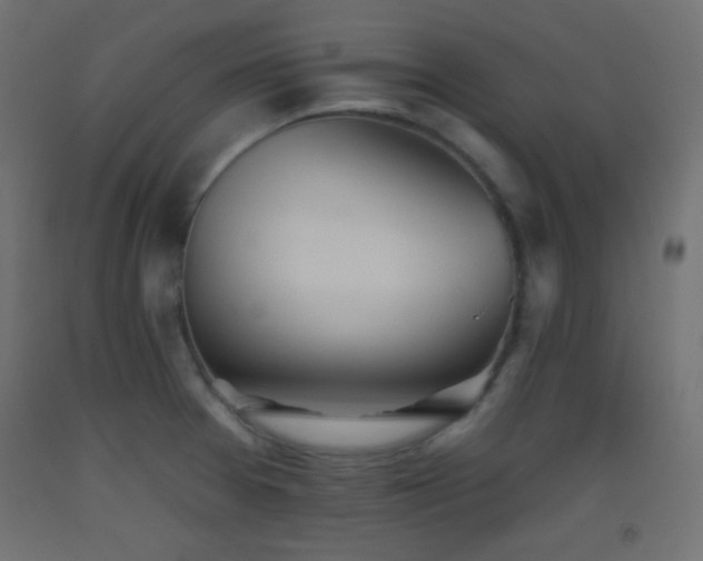 X0000093521377200710121536