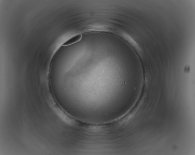 X0000093521378200710121536