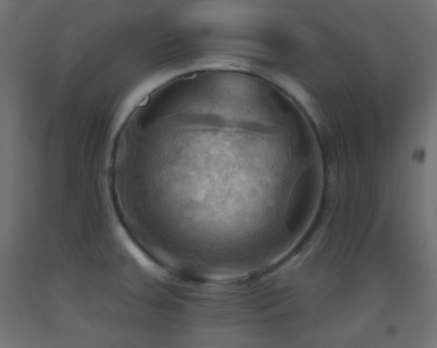 X0000093521379200710121536