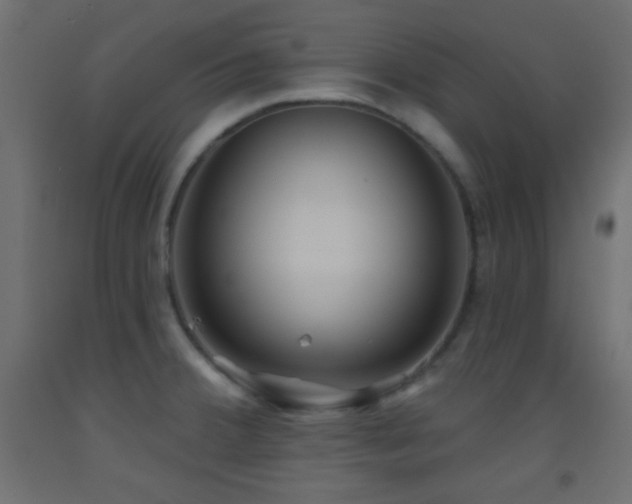 X0000093521380200710121536
