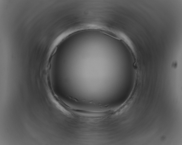 X0000093521381200710121536