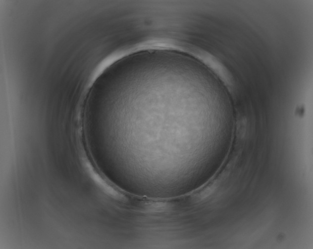 X0000093521382200710121536