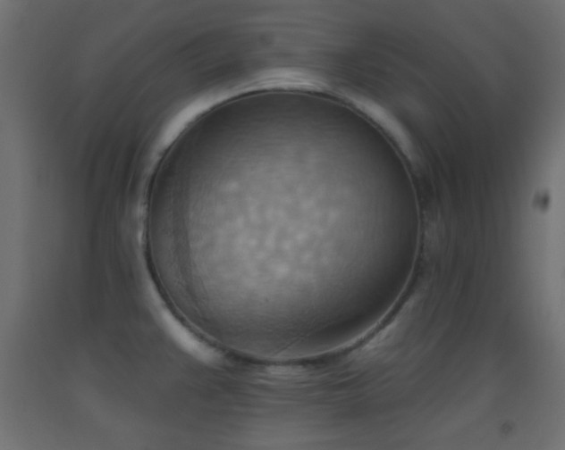 X0000093521383200710121536