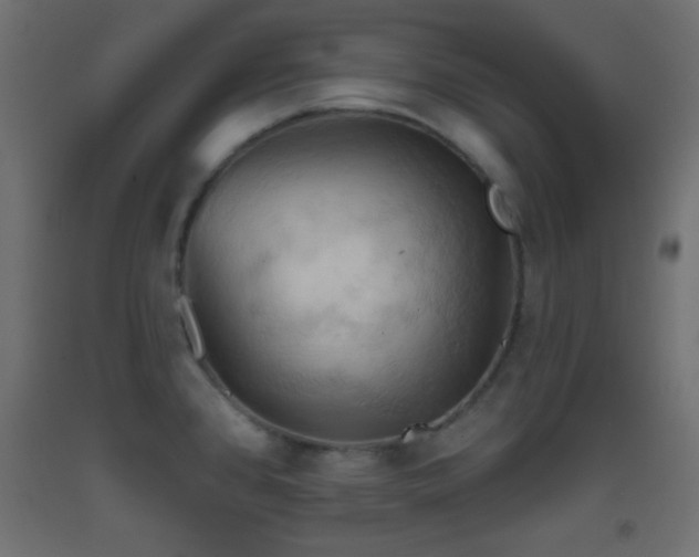 X0000093521384200710121536